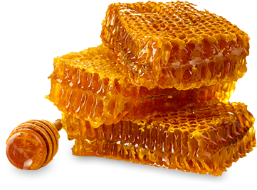 Honeycomb