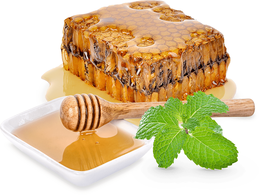 Fresh Honeycomb